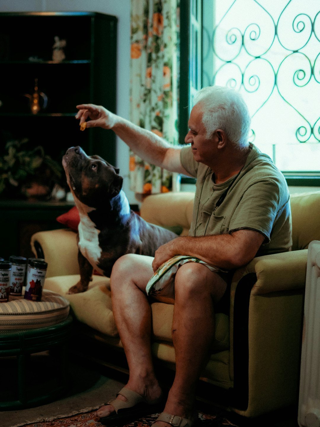 elderly-man-feeding-a-dog-a-treat-on-the-couch-tvfumlgn6q